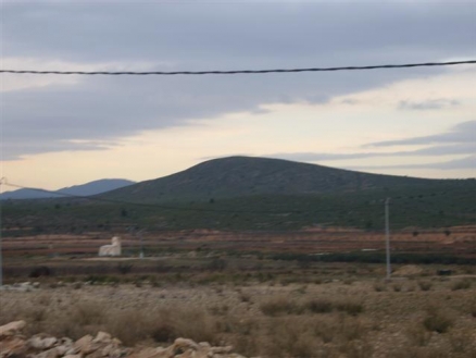 Pinoso property: Alicante Land 99635