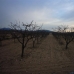 Pinoso property: Pinoso, Spain Land 99635