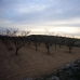 Pinoso property: bedroom Land in Pinoso, Spain 99635
