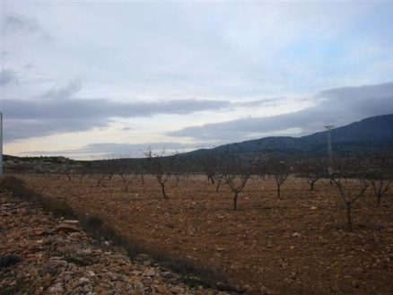 Pinoso property: Land with bedroom in Pinoso 99636