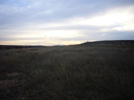 Pinoso property: Land for sale in Pinoso 99637