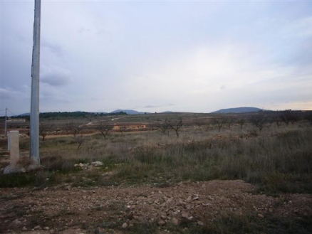 Pinoso property: Land for sale in Pinoso, Spain 99637