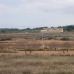Pinoso property: Land for sale in Pinoso 99638
