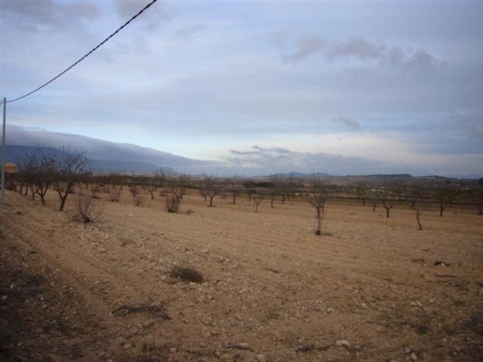 Pinoso property: Land for sale in Pinoso 99639