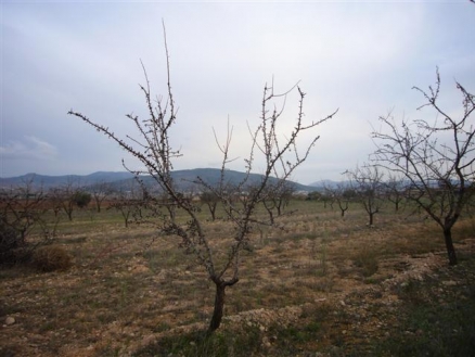 Pinoso property: Land with bedroom in Pinoso, Spain 99639