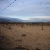 Pinoso property: Pinoso, Spain Land 99639
