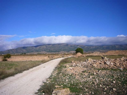 Pinoso property: Land for sale in Pinoso 99644