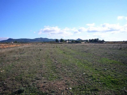 Pinoso property: Land for sale in Pinoso, Spain 99644