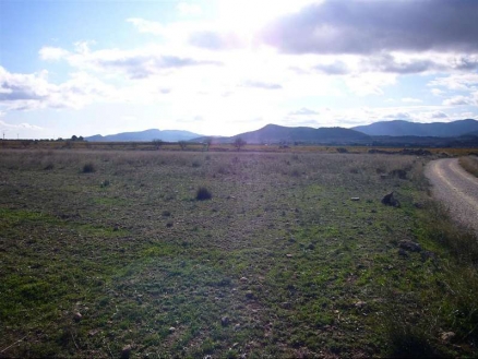 Pinoso property: Land with bedroom in Pinoso 99644