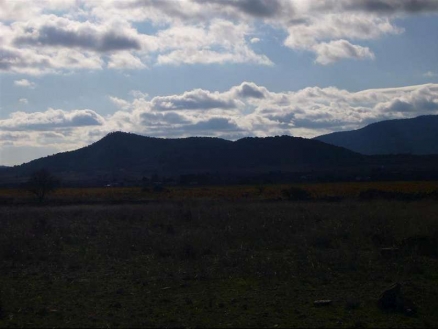Pinoso property: Land in Alicante for sale 99644