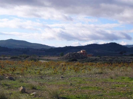 Pinoso property: Alicante property | bedroom Land 99644