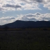 Pinoso property: Land in Pinoso 99644
