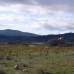 Pinoso property: Pinoso Land, Spain 99644