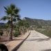 Aspe property: Alicante Villa, Spain 99647