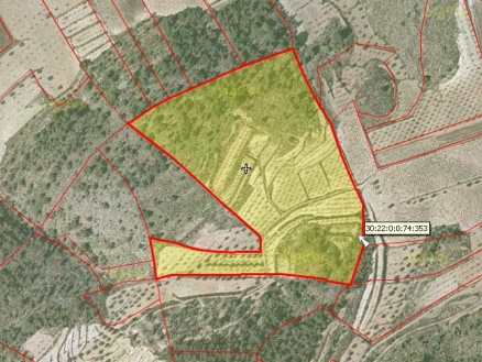 Jumilla property: Land for sale in Jumilla 99650