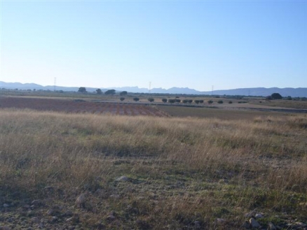 Jumilla property: Land in Murcia for sale 99652