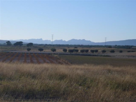 Jumilla property: Murcia property | bedroom Land 99652