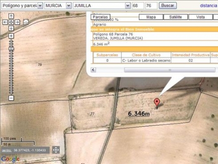 Jumilla property: Jumilla, Spain | Land for sale 99652