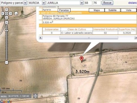 Jumilla property: Jumilla Land 99652