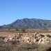 Jumilla property: bedroom Land in Murcia 99652