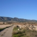 Jumilla property:  Land in Murcia 99652