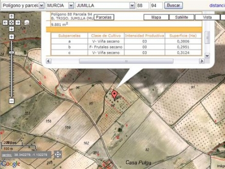 Jumilla property: Land for sale in Jumilla 99662