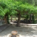 La Romana property: Beautiful House for sale in Alicante 99663