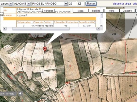 Pinoso property: Land for sale in Pinoso 99675