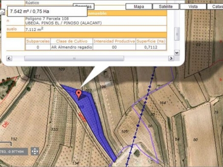 Pinoso property: Land for sale in Pinoso 99676