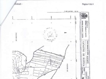 Pinoso property: Land for sale in Pinoso, Alicante 99684