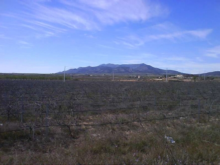Pinoso property: Land in Alicante for sale 99684