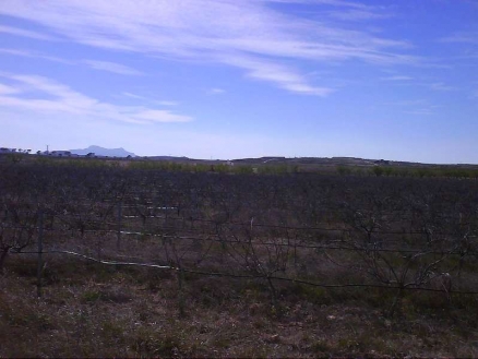 Pinoso property: Alicante property | bedroom Land 99684