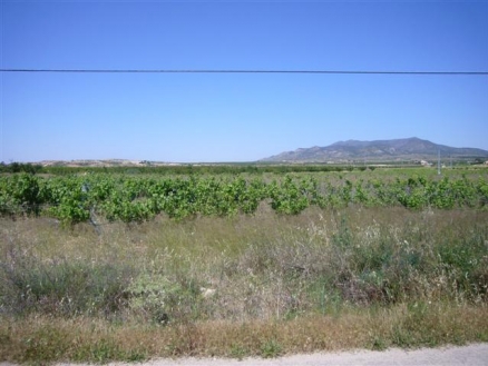 Pinoso property: Alicante Land 99684