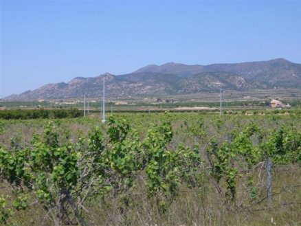 Pinoso property: Pinoso Land 99684