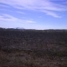 Pinoso property: Pinoso Land, Spain 99684