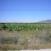 Pinoso property: Beautiful Land for sale in Pinoso 99684
