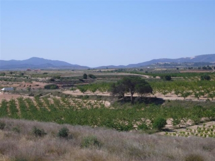 Pinoso property: Land with bedroom in Pinoso 99699