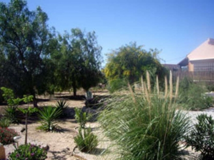 Aspe property: House in Alicante for sale 99704