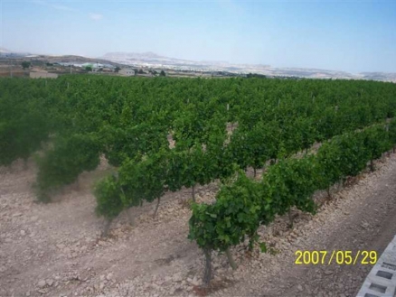 Novelda property: Alicante House 99707