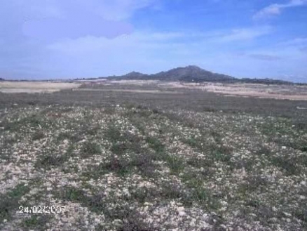 Jumilla property: Land for sale in Jumilla 99713