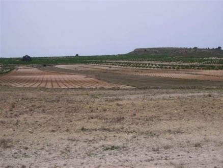 Pinoso property: Land with bedroom in Pinoso, Spain 99717