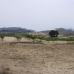 Pinoso property: Pinoso Land, Spain 99717
