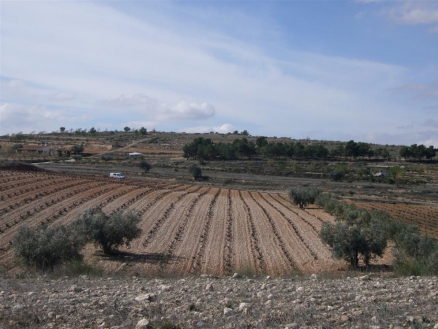 Pinoso property: Land for sale in Pinoso, Spain 99749