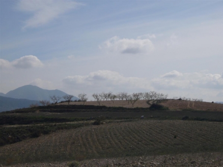Pinoso property: Land with bedroom in Pinoso 99749
