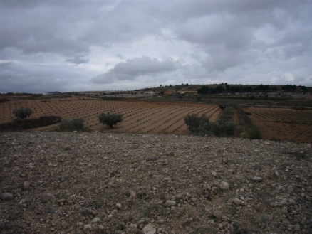 Pinoso property: Pinoso Land 99749