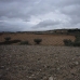 Pinoso property: Beautiful Land for sale in Alicante 99749