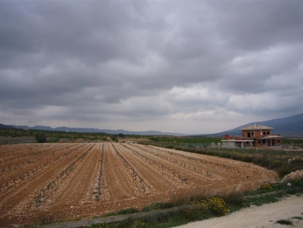 Pinoso property: Land for sale in Pinoso 99758