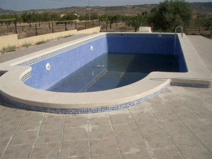 Pinoso property: Villa for sale in Pinoso, Spain 99784