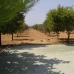 Pinoso property: House in Alicante 99788