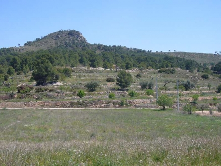 Pinoso property: Pinoso House 99793